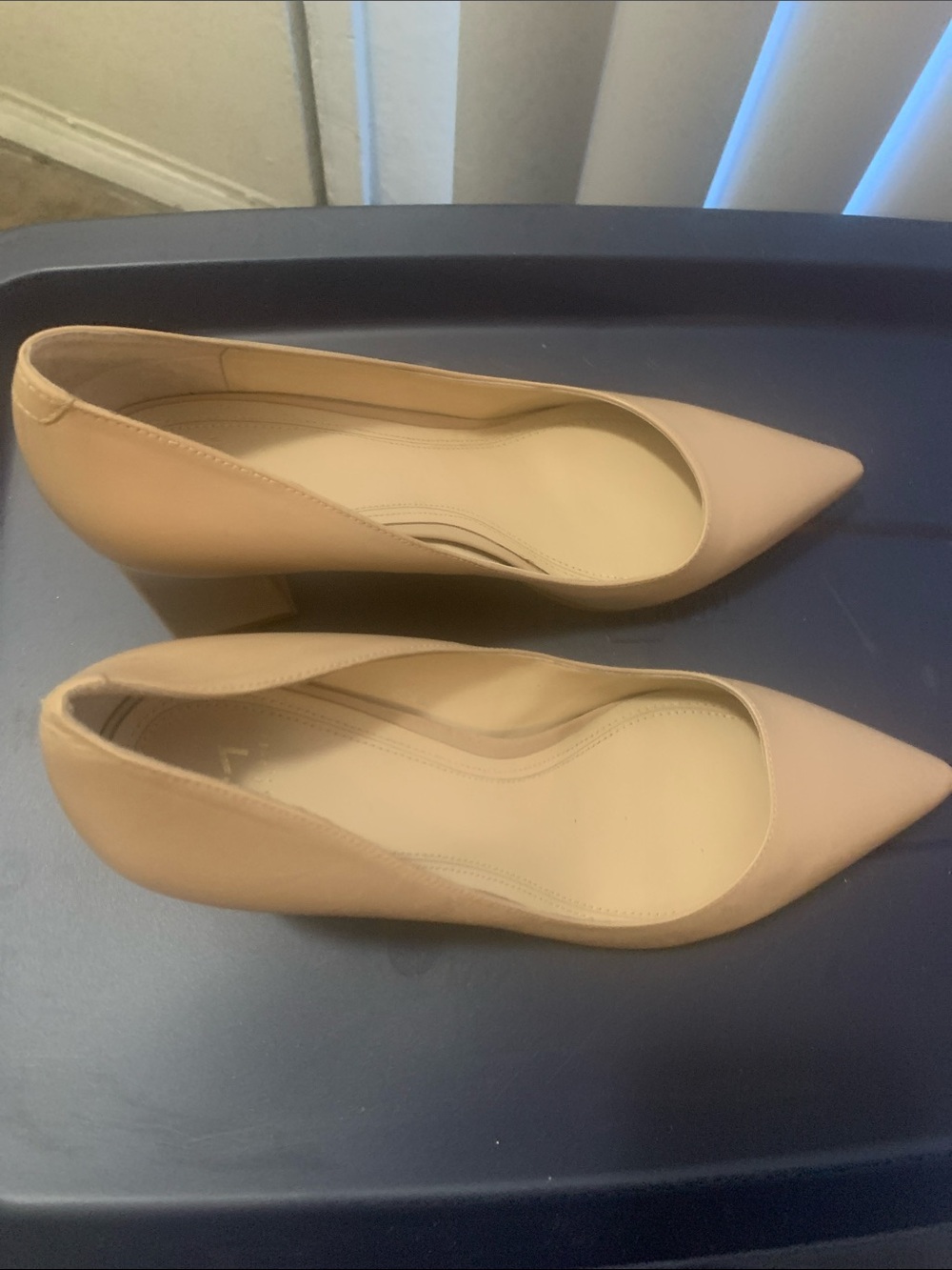 Classic Pointed Toe Low Heel Pumps - Nude